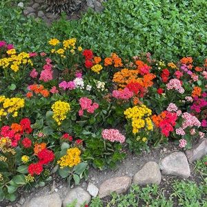 Meet your Posher, Fer